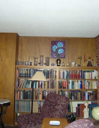 A living room with a fireplace and bookshelves.